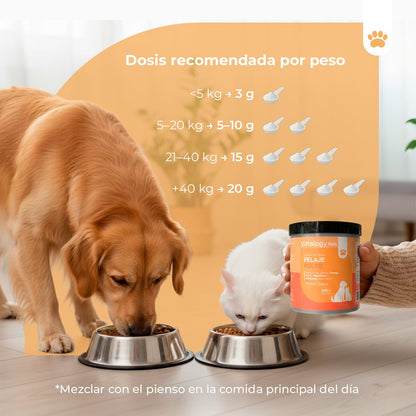 Vittalogy Pelagem em Pó 3x100gr【PACK POUPANÇA】