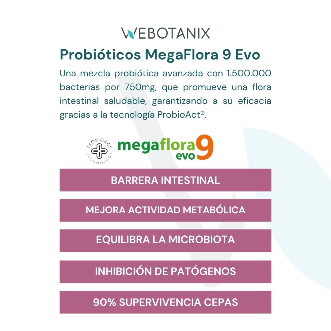 WeBotanix Probiotax Microbiota cacao 150g