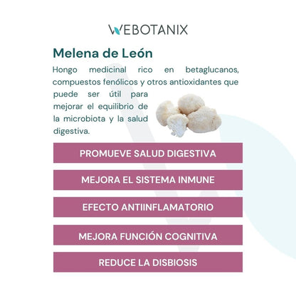 WeBotanix Probiotax Microbiota cacao 150g