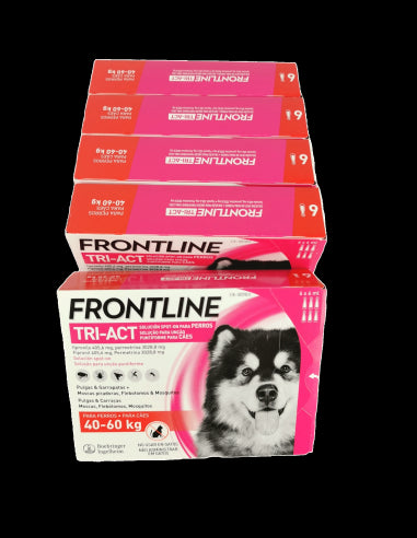 Product image for 21157