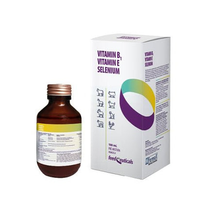Product image for 21219