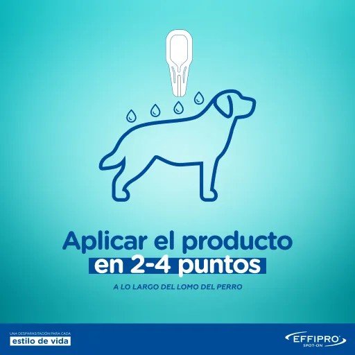 Product image for 30793