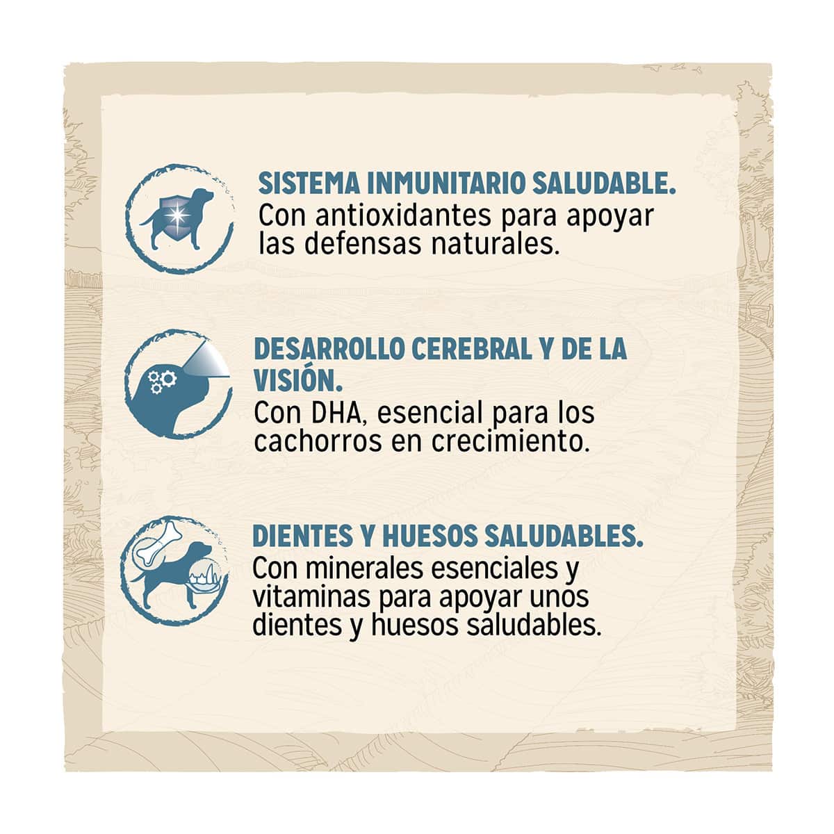 Product image for 21278