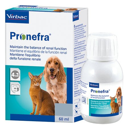 Product image for 21656