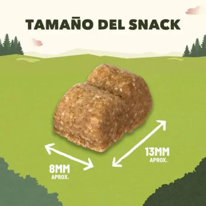 Product image for 21455