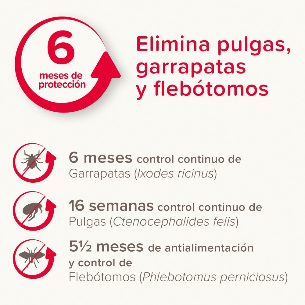 Product image for 30736