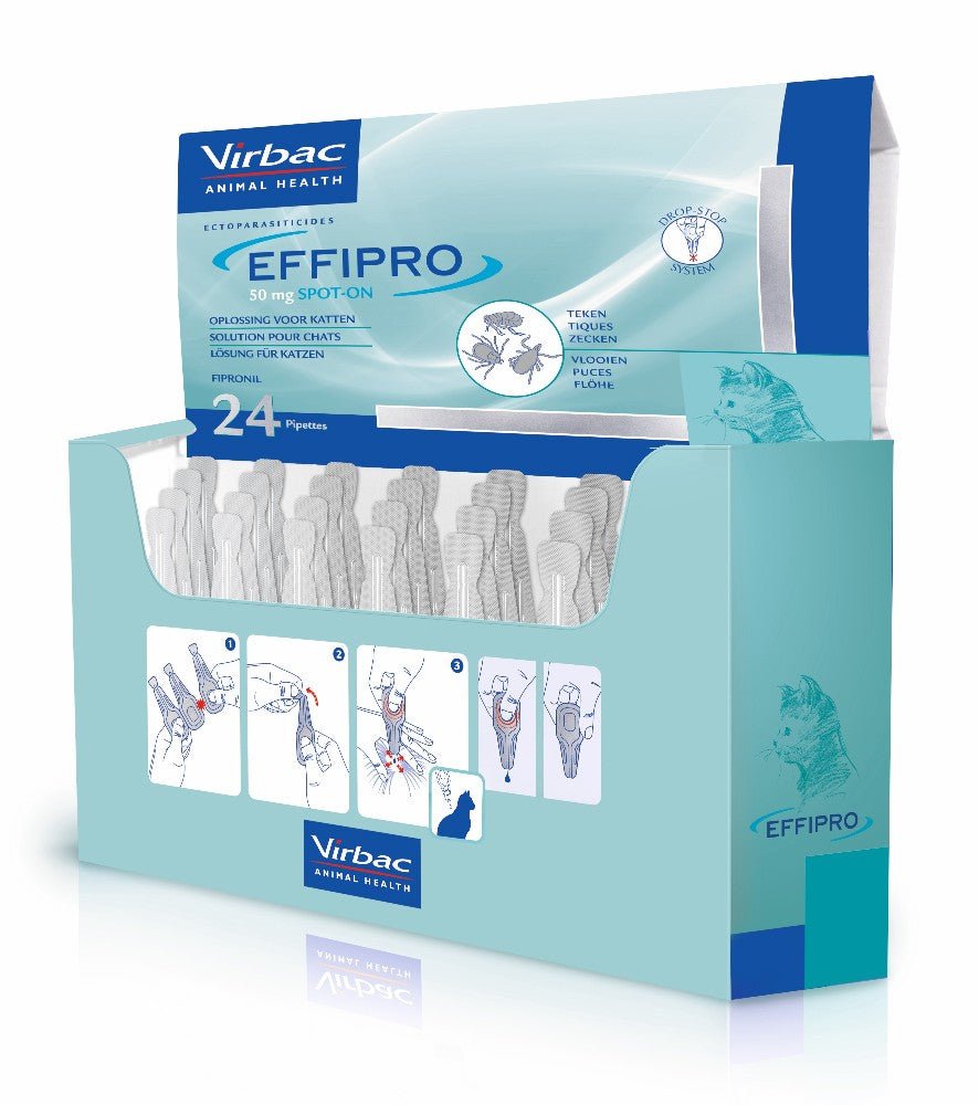 Product image for 21675