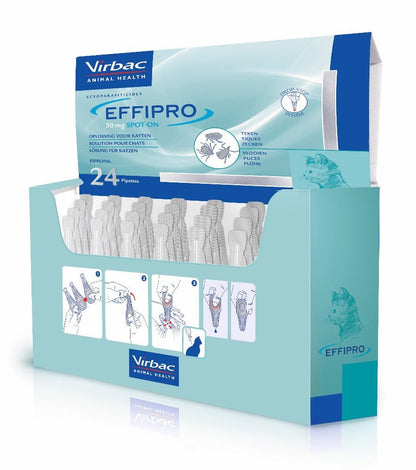 Product image for 21675