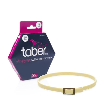 Product image for 21186