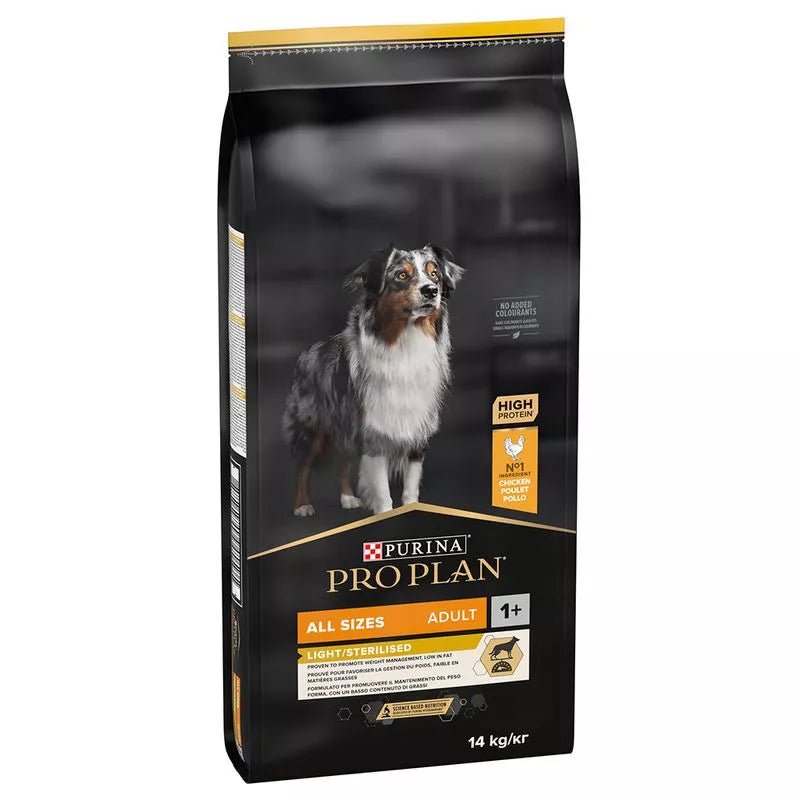Product image for 21381