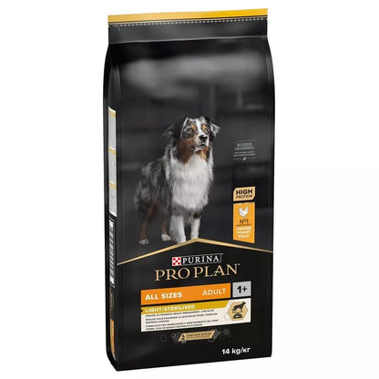 Product image for 21381