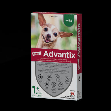 Product image for 21197