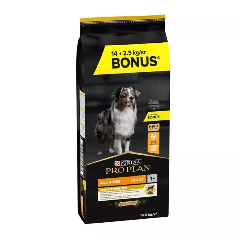 Product image for 21381