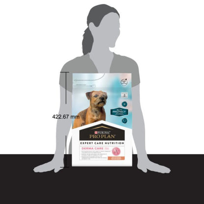 Product image for 21371