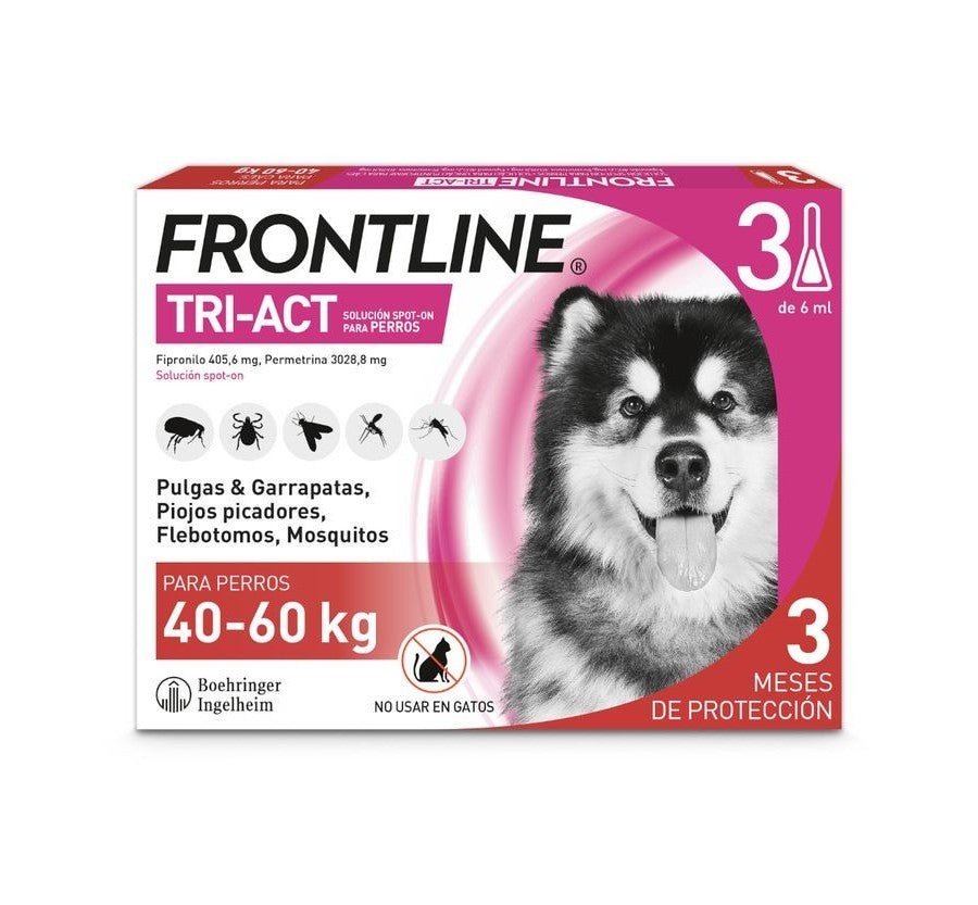 Product image for 21156