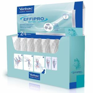 Product image for 21675