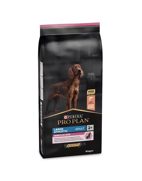 Product image for 21319