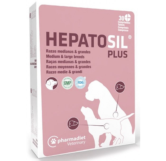 Product image for 21250