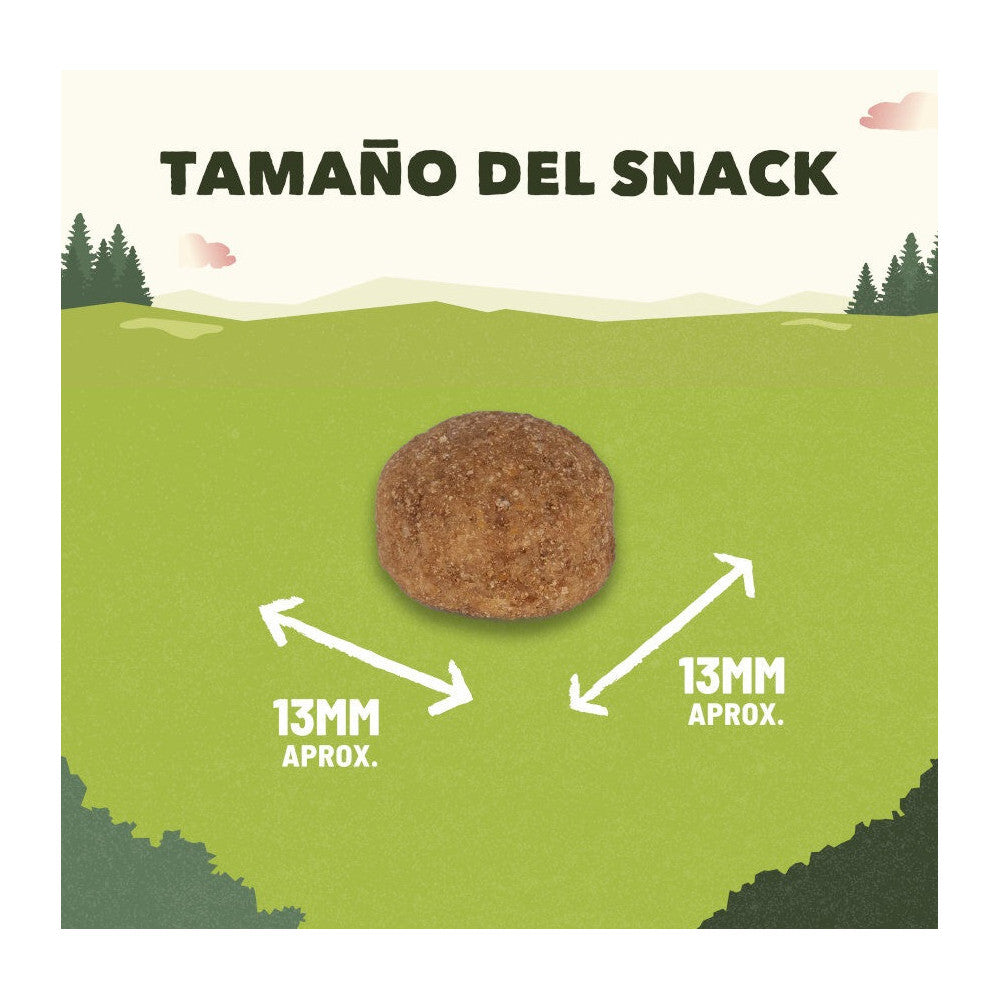 Product image for 21454