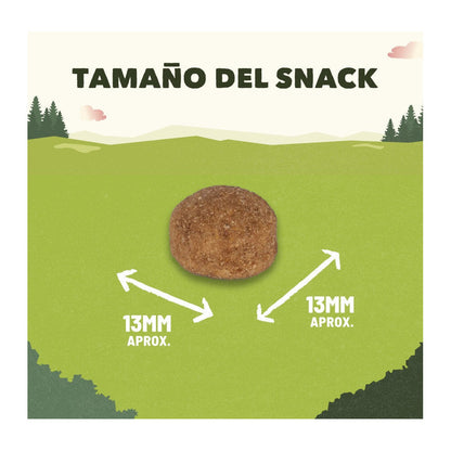 Product image for 21454