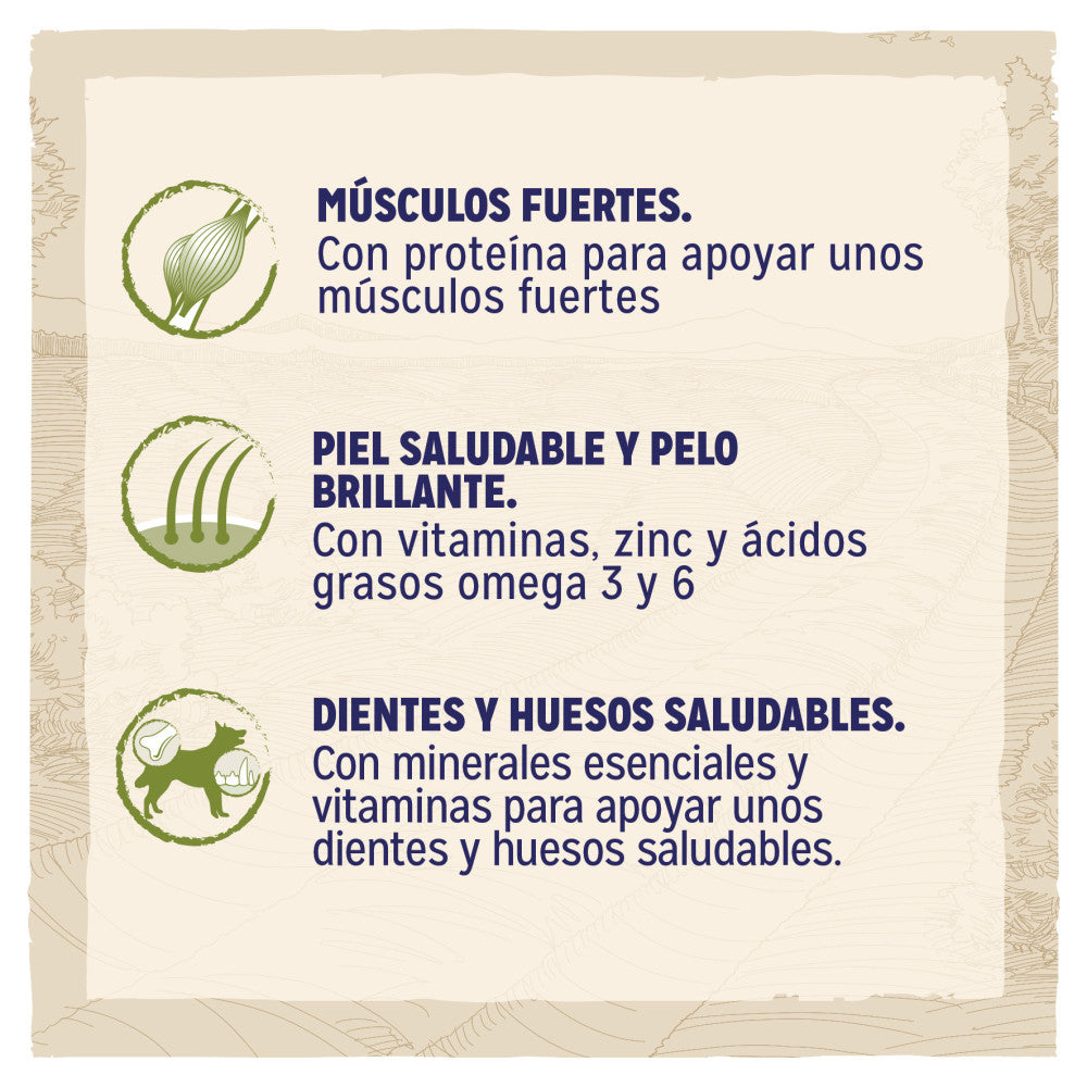 Product image for 21275