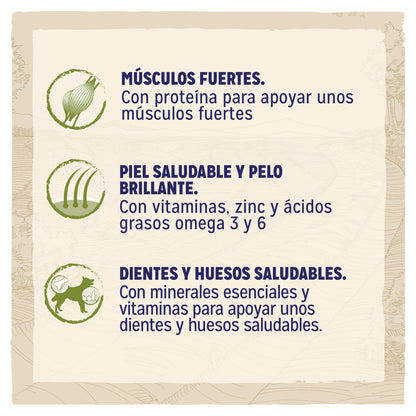 Product image for 21275