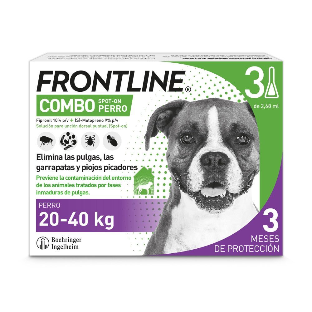Product image for 21144