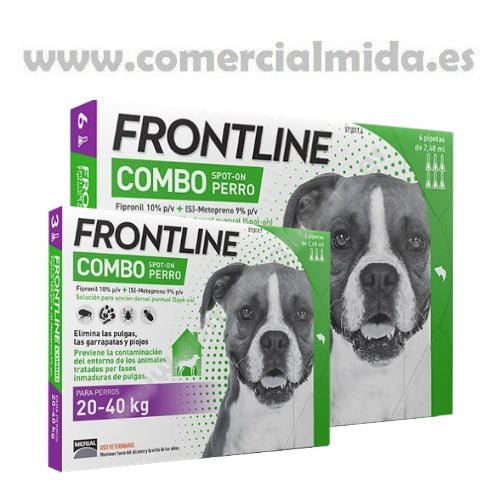 Product image for 21145