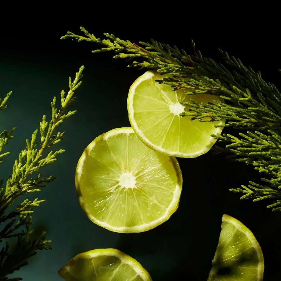 Product image for 30247