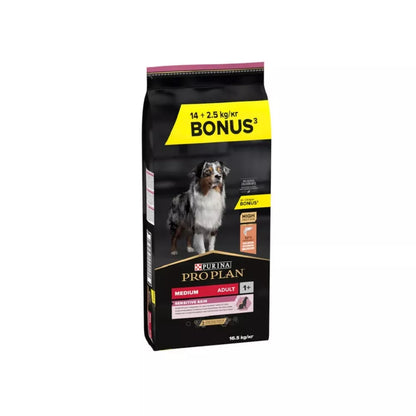 Product image for 21382