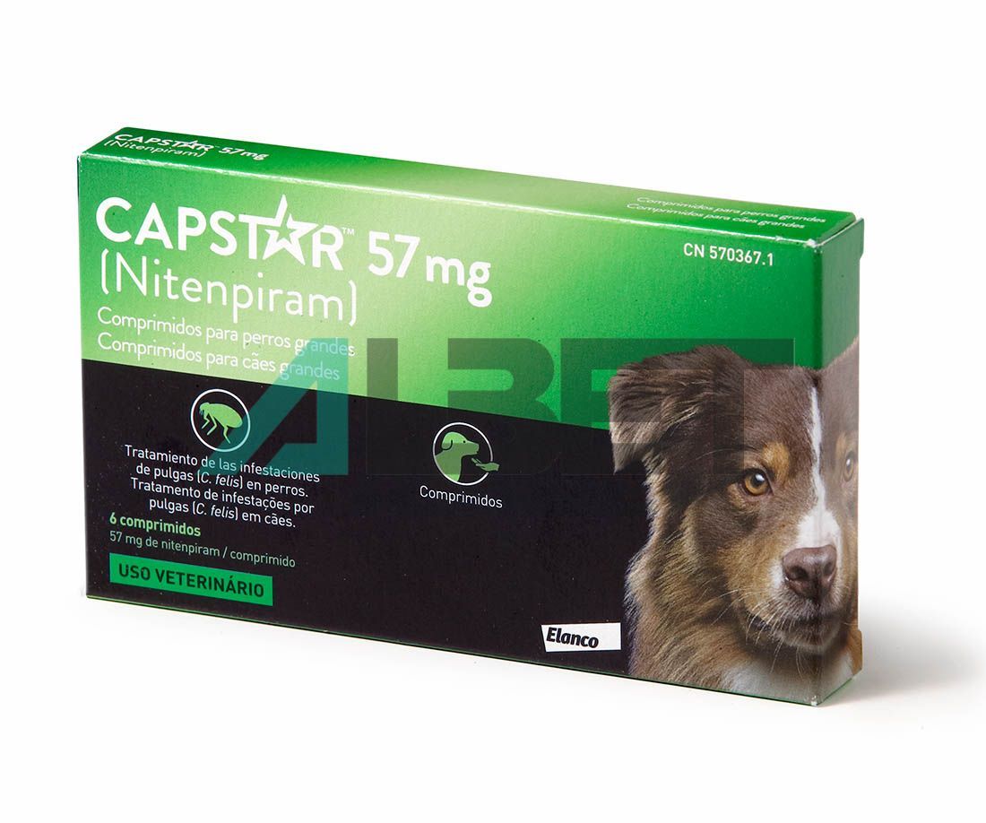 Product image for 21202