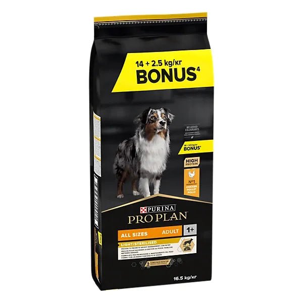 Product image for 21381