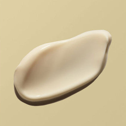 Product image for 24419