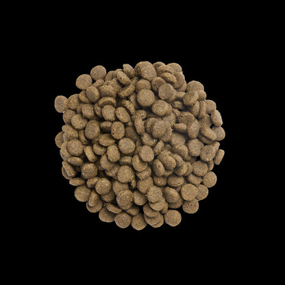 Product image for 21370