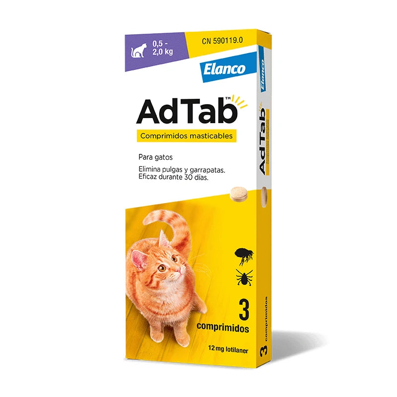 Product image for 21213