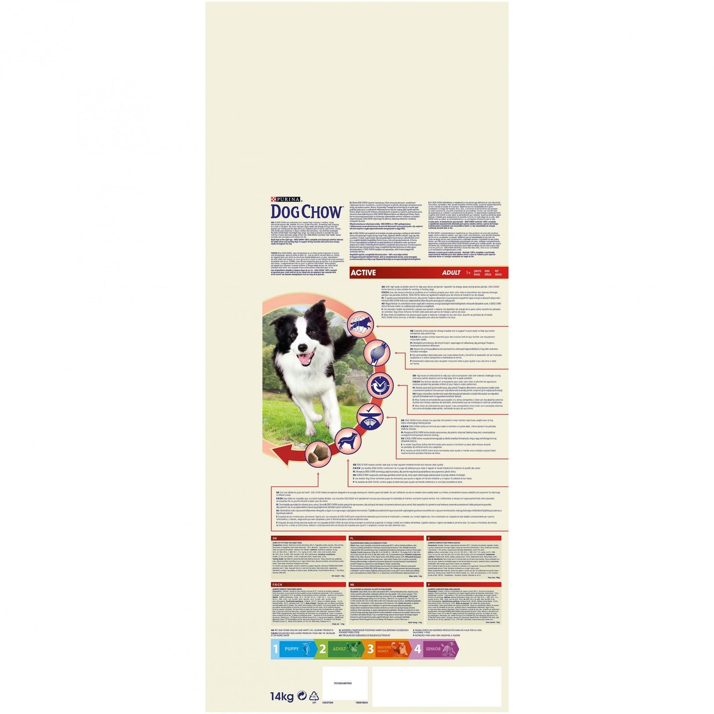 Product image for 21271