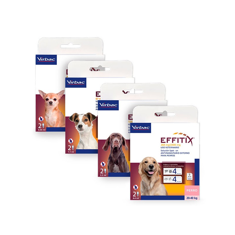 Product image for 21677