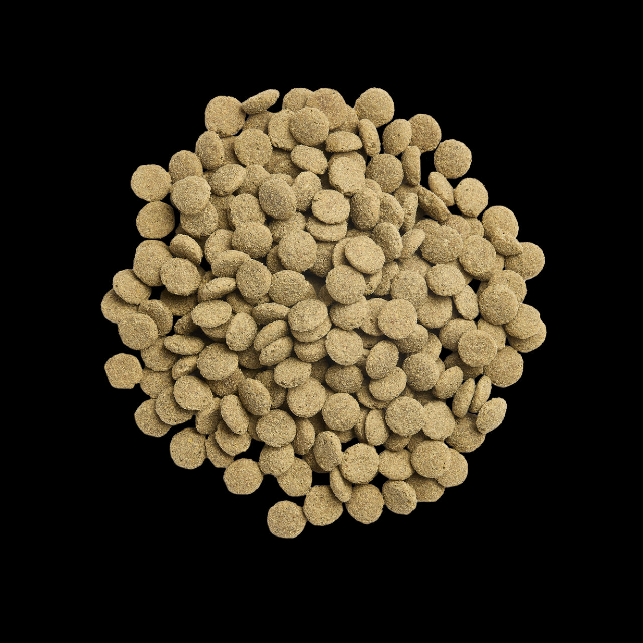 Product image for 21362