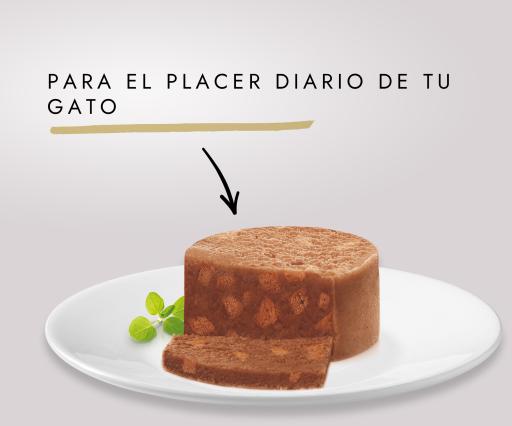 Product image for 21422