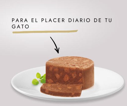 Product image for 21422