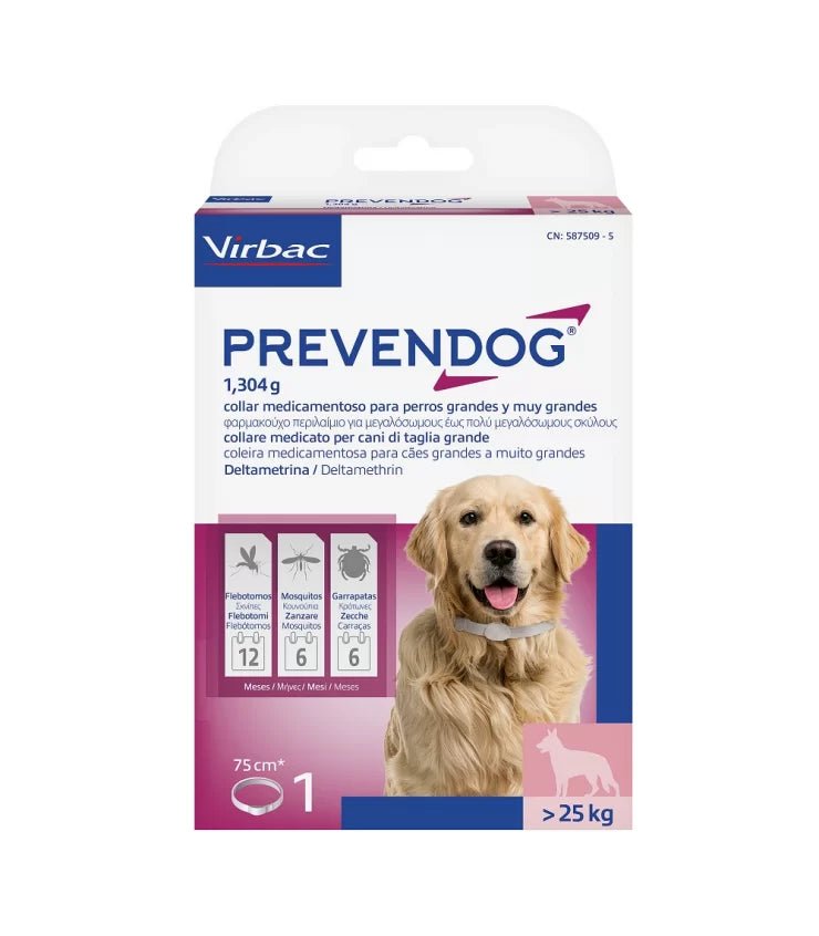 Product image for 21684