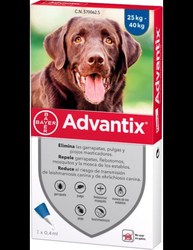 Product image for 21205