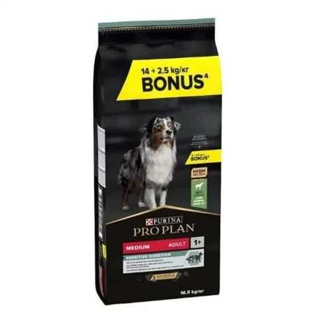 Product image for 21380