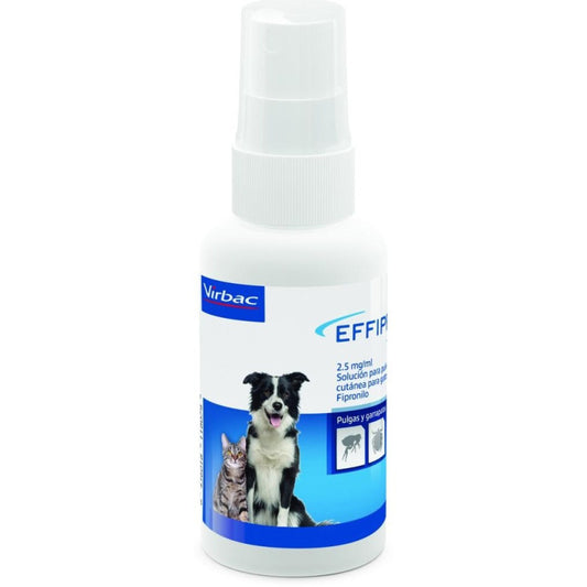 Product image for 21671