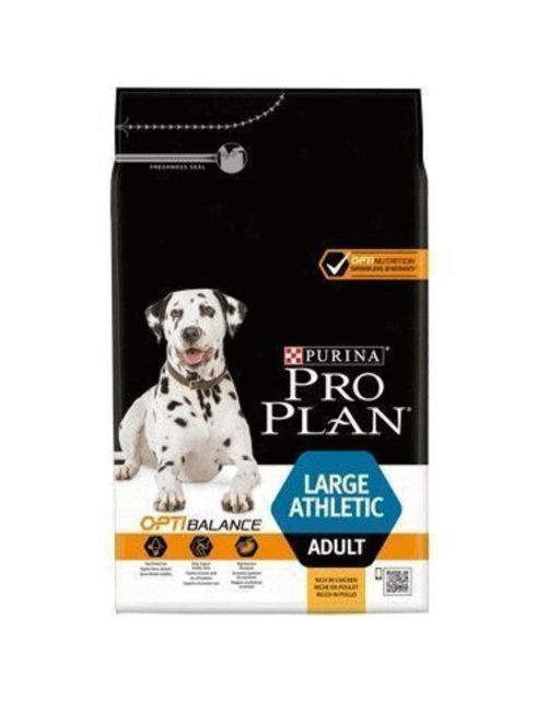 Product image for 21281