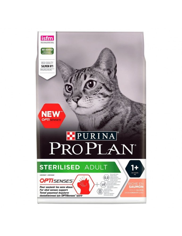 Product image for 21312