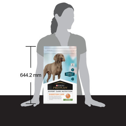 Product image for 21363