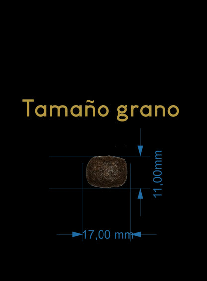 Product image for 24098