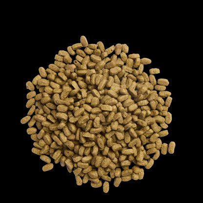 Product image for 21371