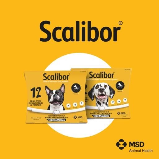 Product image for 30791